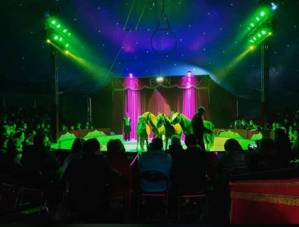 Lightshow im Circus Max Renz